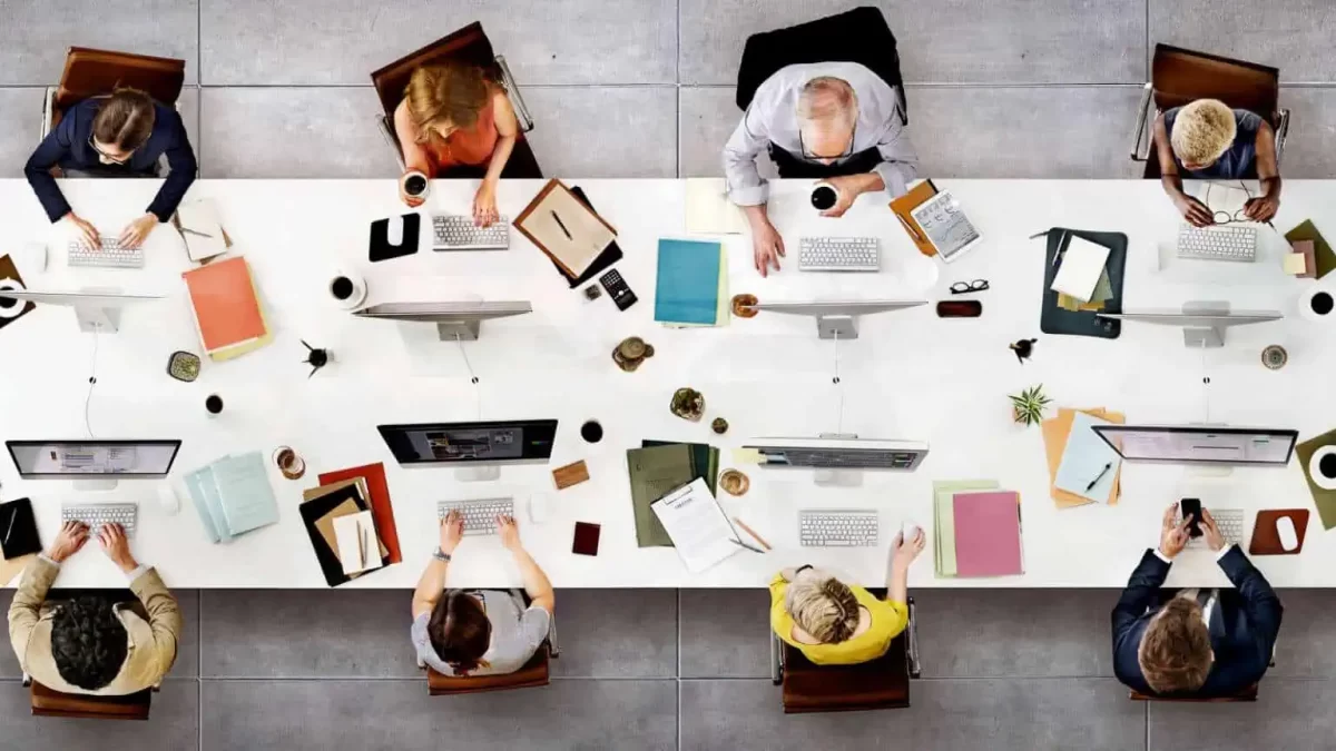 employees