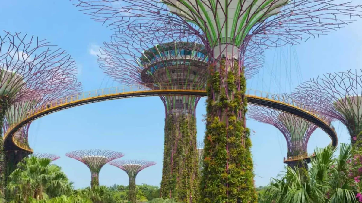 singapore best place business