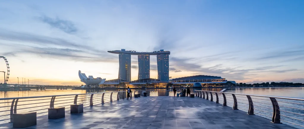 external asset manager