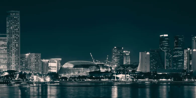singapore holding company