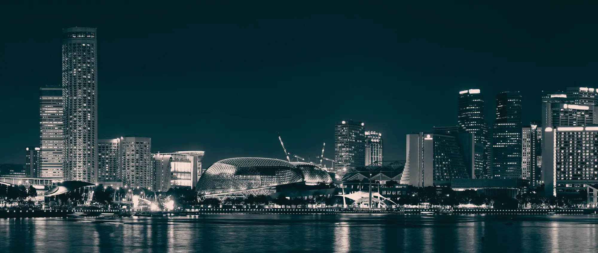 singapore holding company