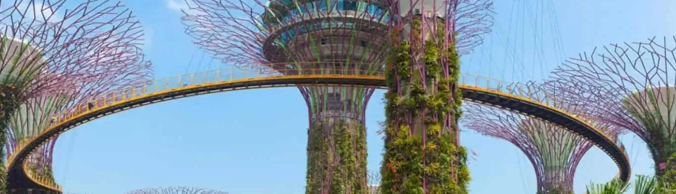 singapore best place business