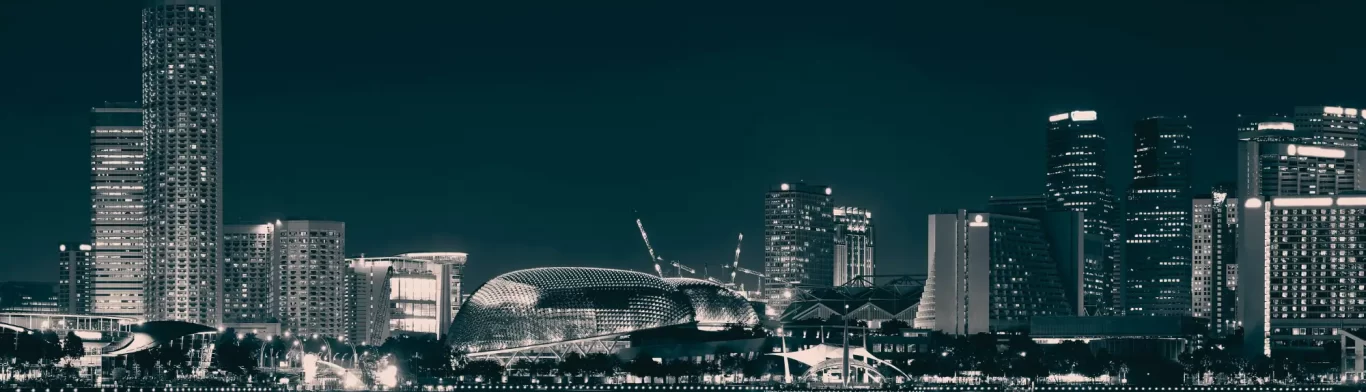 singapore holding company