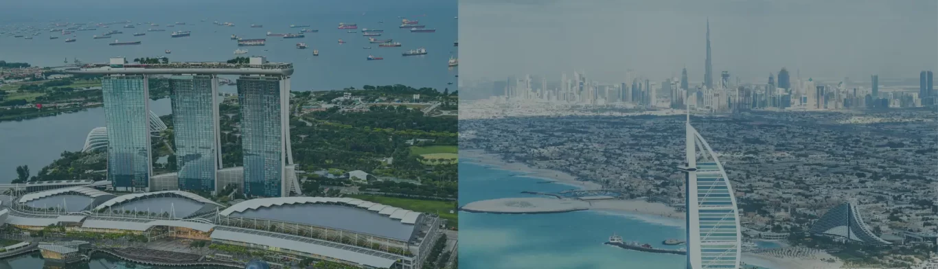 singapore vs dubai1